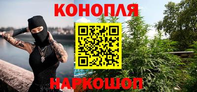 шишки Будённовск
