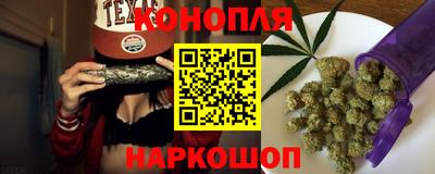 шишки Будённовск