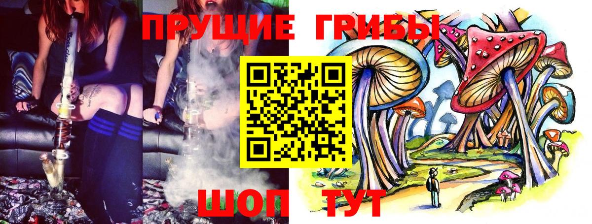 Псилоцибиновые грибы Magic Shrooms Стерлитамак